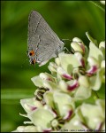 DigitalScape Photography Images